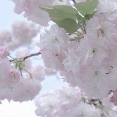 Furry兽设设计实用干货福瑞交流群